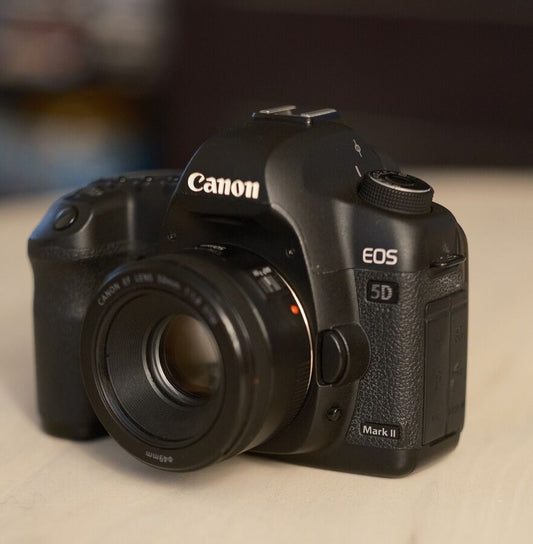 Canon EOS 5D Mark II DslrR with Canon EF 50mm f/1.8 STM Lens