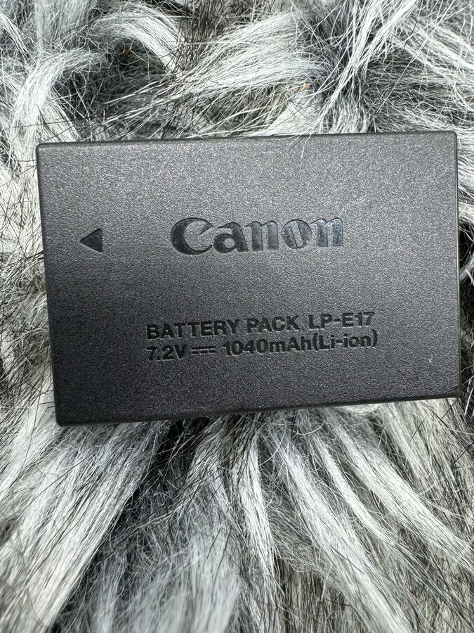 Canon EOS 77D 24.2 MP Digital Slr Camera with ef-s 18-55mm + EF-S 55-250mm Lenses